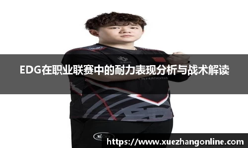 EDG在职业联赛中的耐力表现分析与战术解读